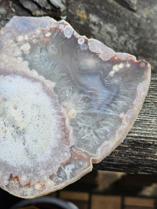 Grande tranche d'Agate fleurs