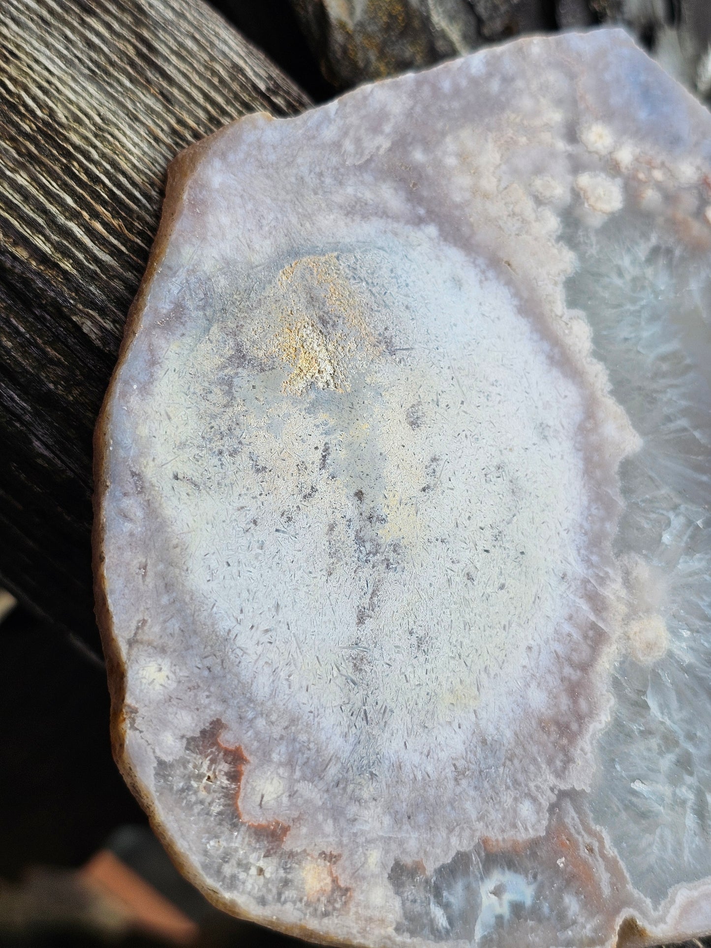 Grande tranche d'Agate fleurs