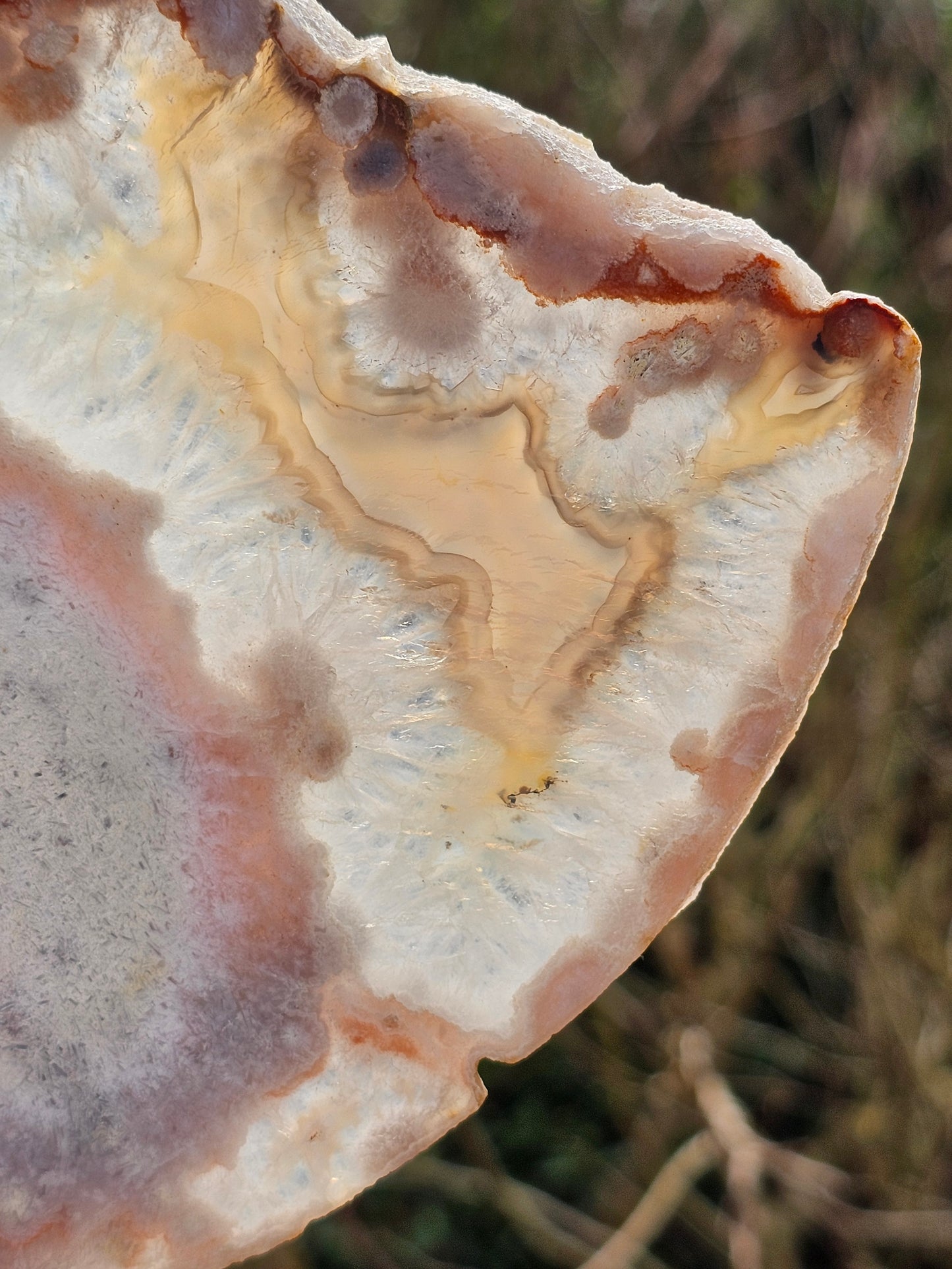 Grande tranche d'Agate fleurs