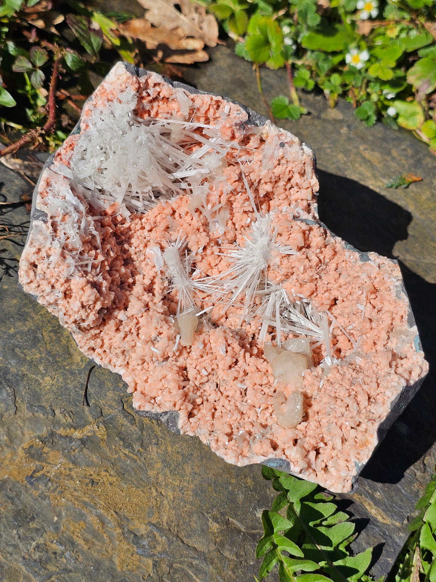 Scolécite sur Heulandite n°2