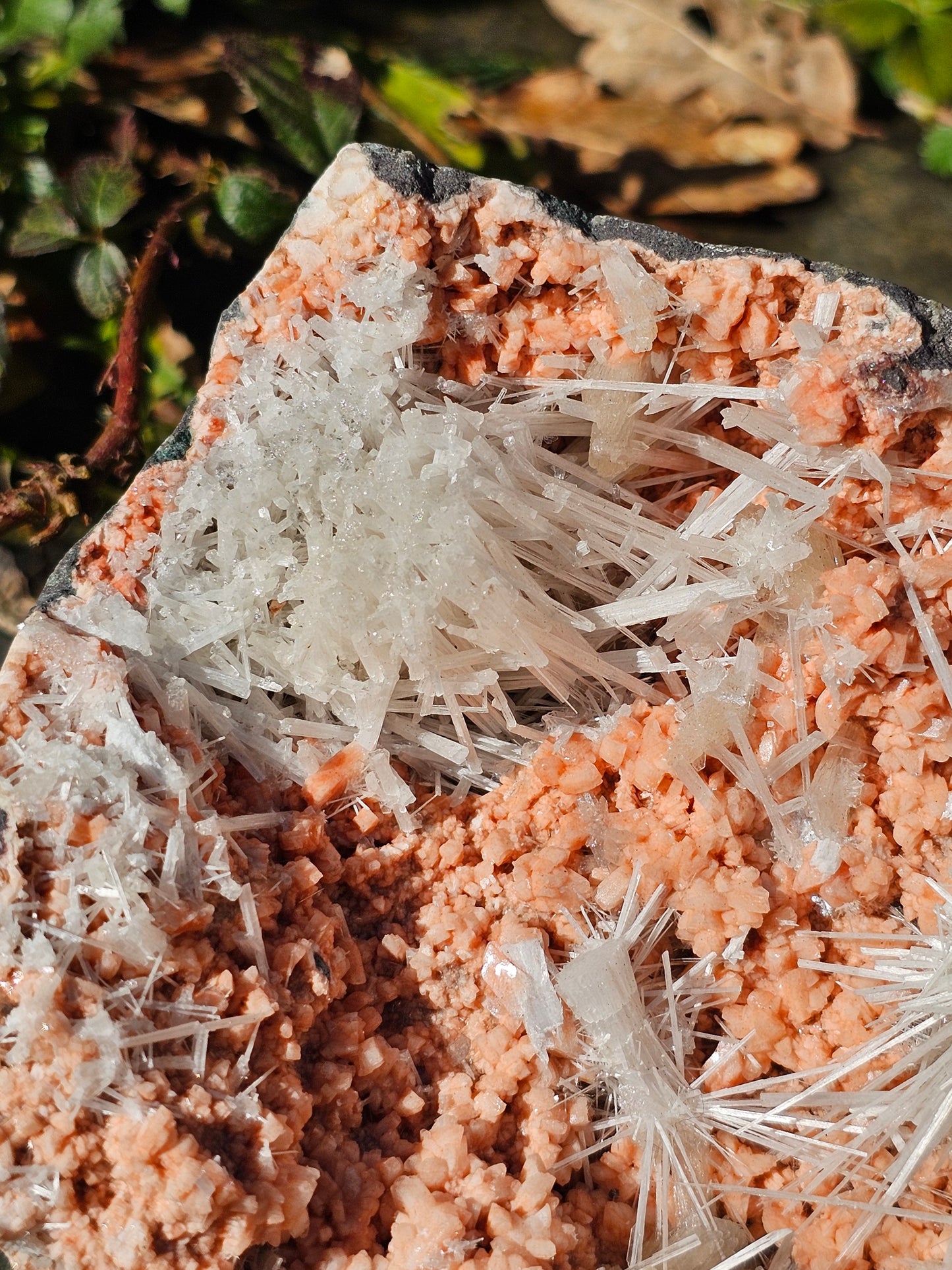 Scolécite sur Heulandite n°2