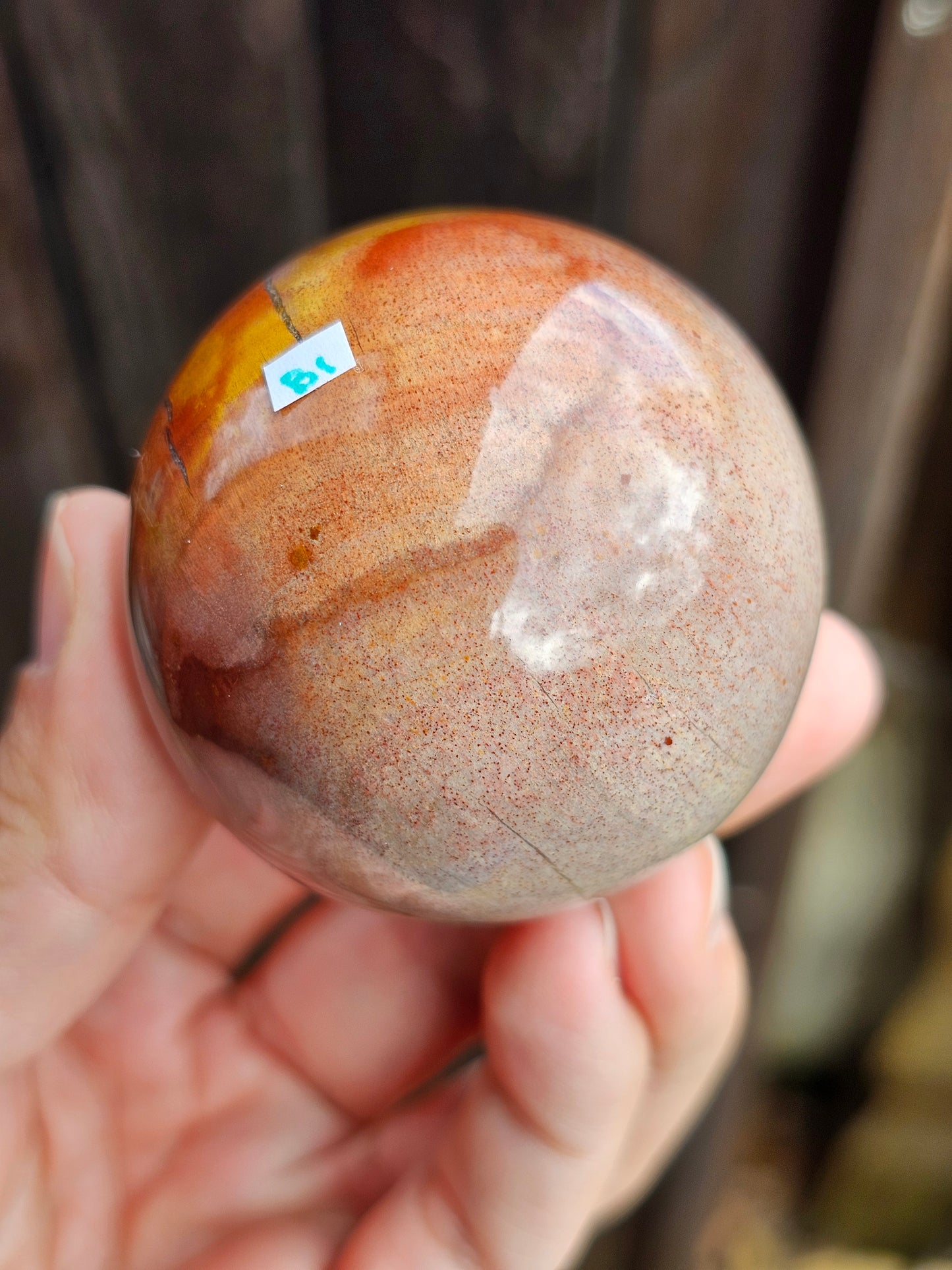 Sphère Bois fossile B1
