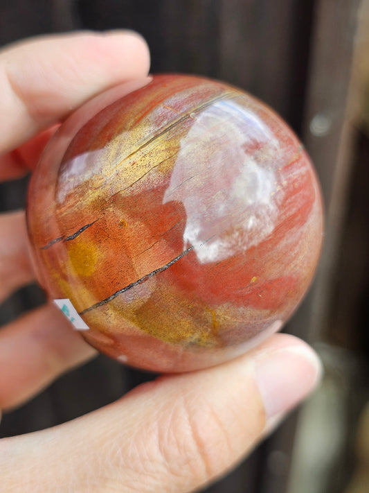 Sphère Bois fossile B1