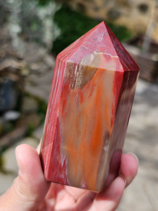 Pointe Bois fossile BF1