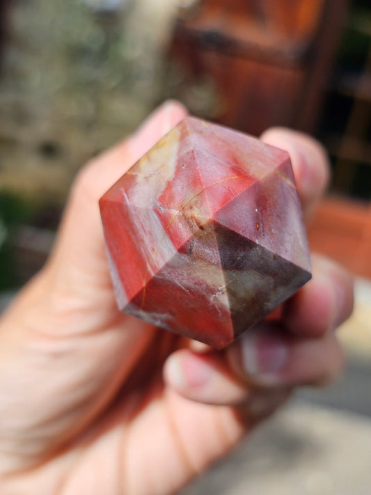 Pointe Bois fossile BF3