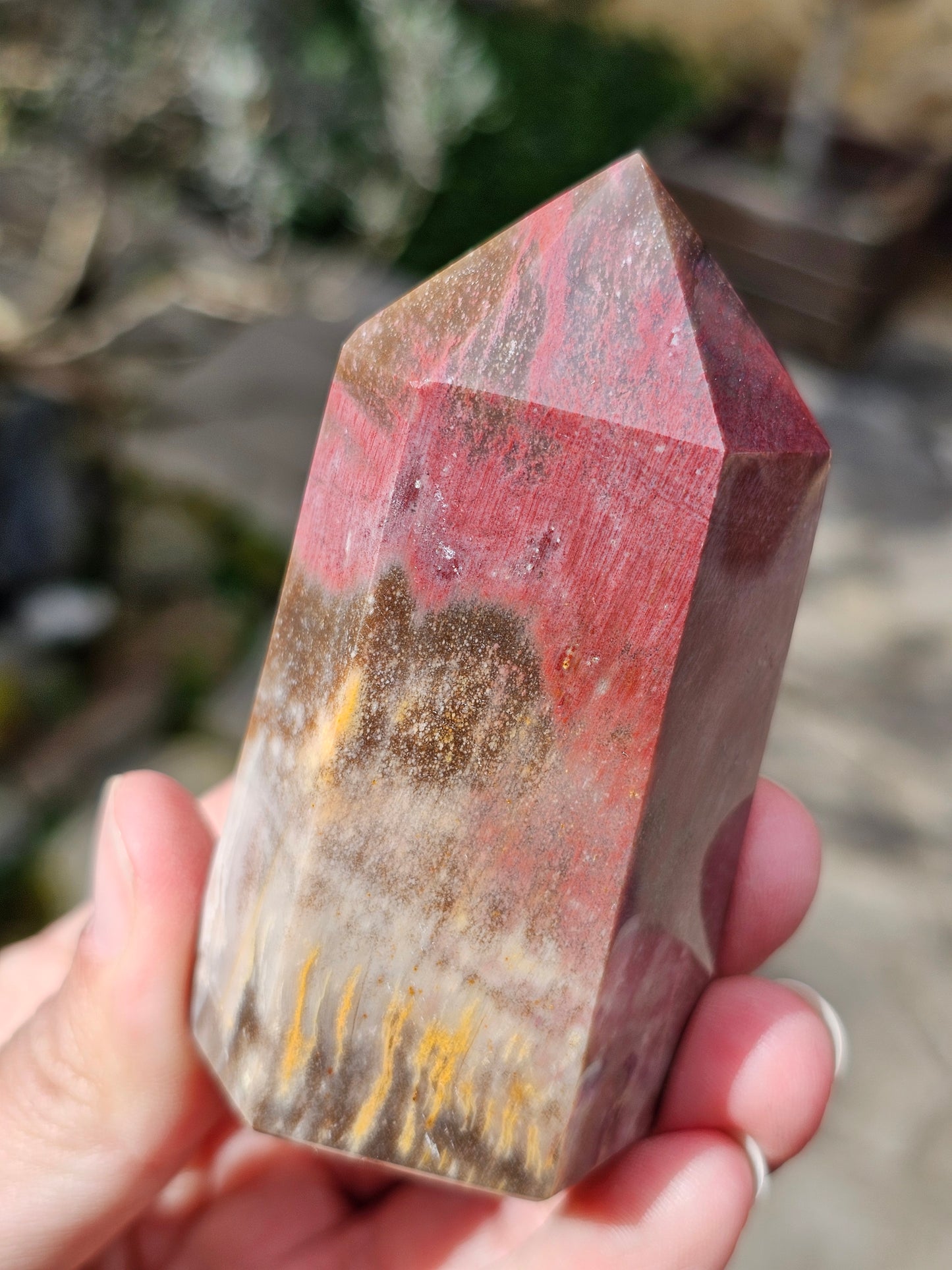 Pointe Bois fossile BF5