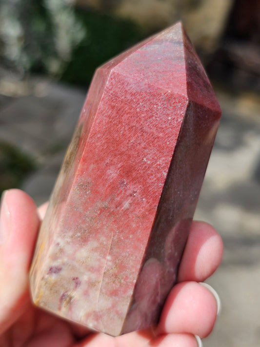 Pointe Bois fossile BF5