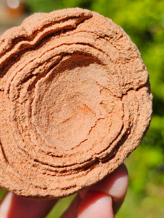 Stromatolite brute du Maroc S8