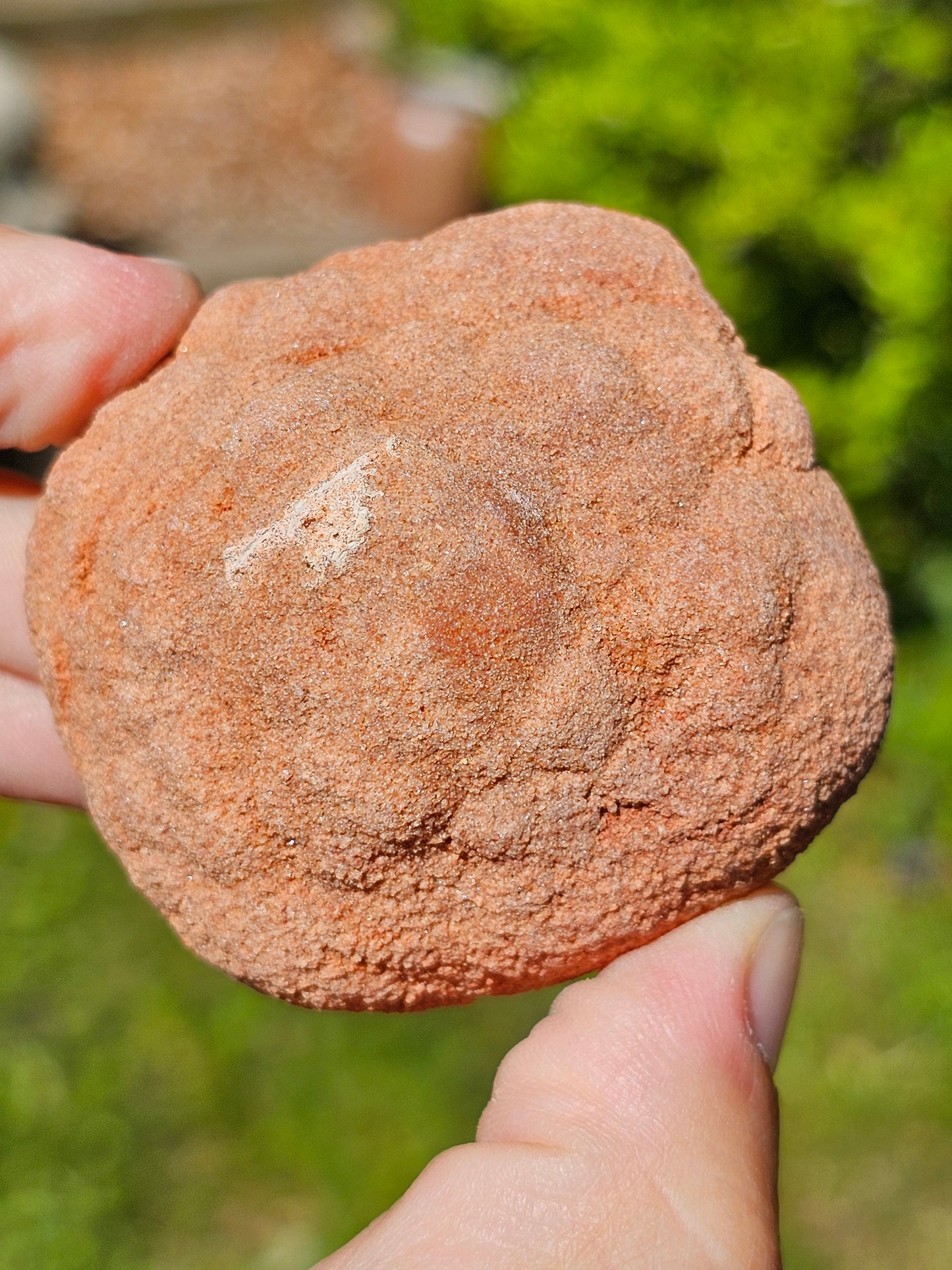 Stromatolite brute du Maroc S8