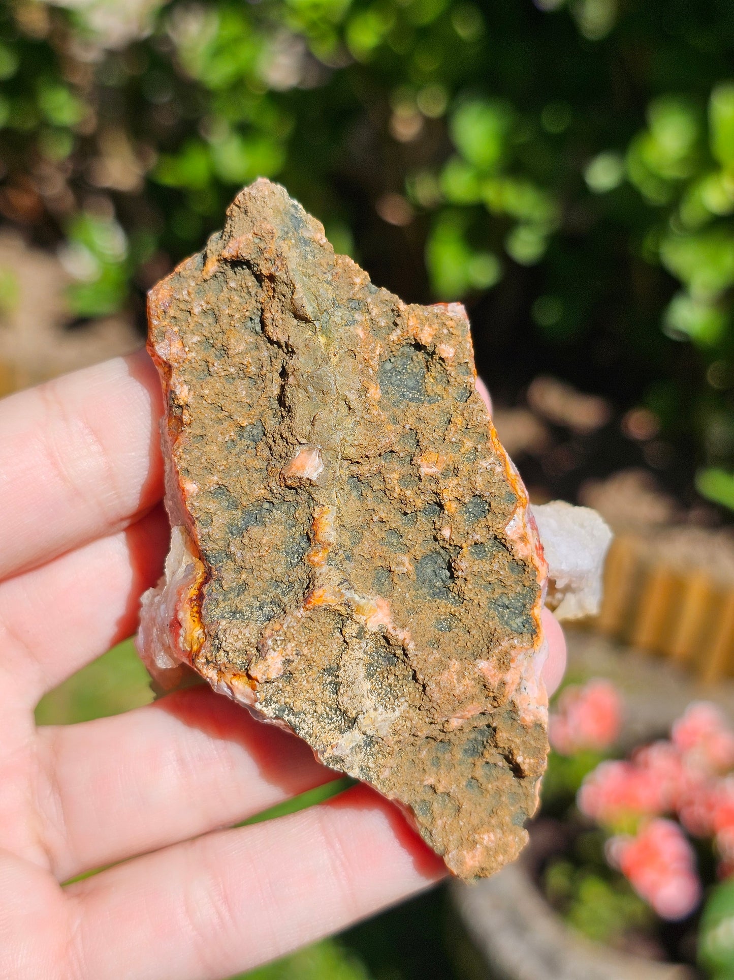 Tranche Agate et Calcédoine du Maroc A4
