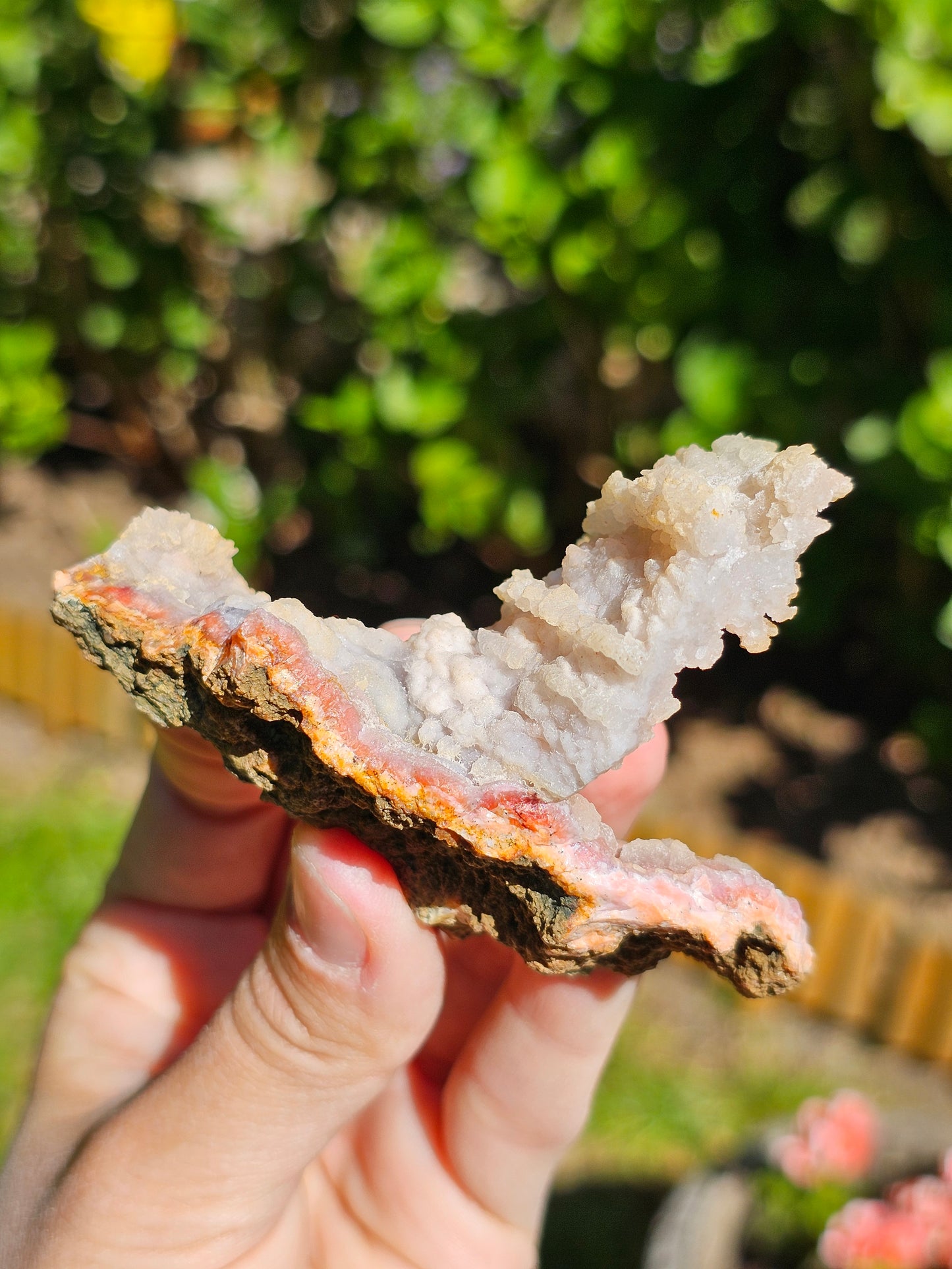 Tranche Agate et Calcédoine du Maroc A4