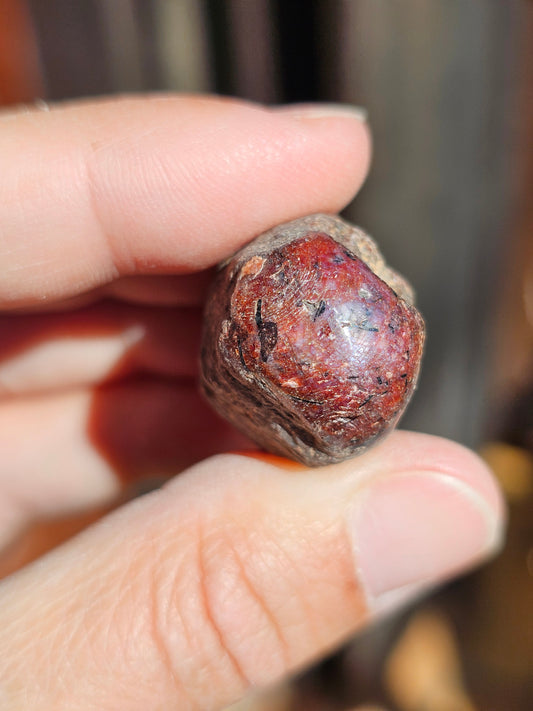 Saphir (corindon) étoilé d'Inde S4