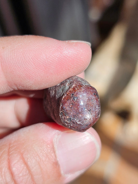 Saphir (corindon) étoilé d'Inde S5