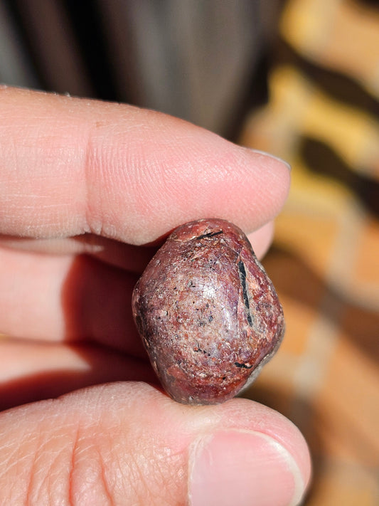 Saphir (corindon) étoilé d'Inde S12