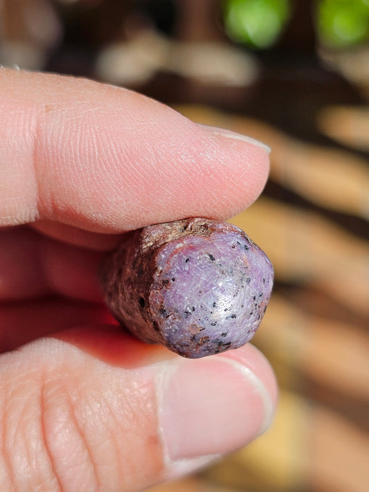 Saphir (corindon) étoilé d'Inde S13