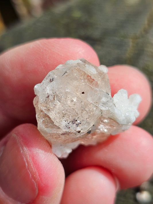 Topaze Champagne du Pakistan T2