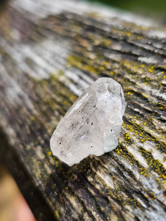 Topaze Champagne du Pakistan T5