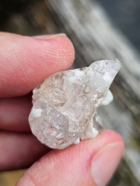 Topaze Champagne du Pakistan T8