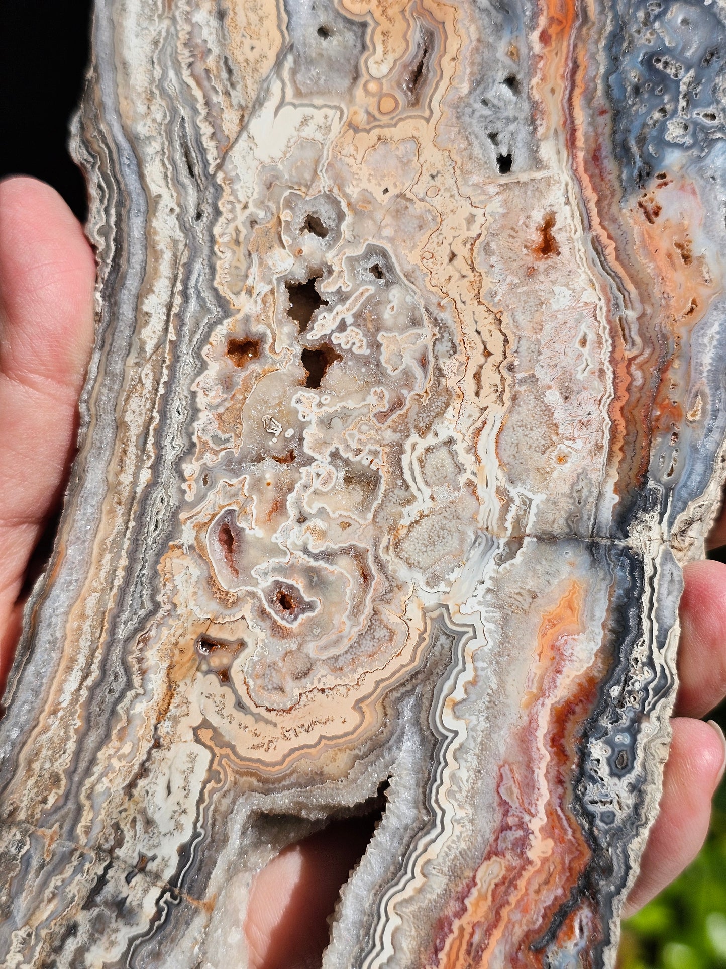 Grande tranche d'Agate Crazy Lace n°1