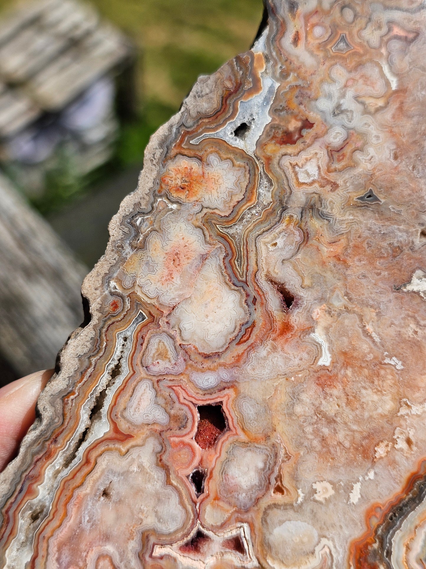 Grande tranche d'Agate Crazy Lace n°3