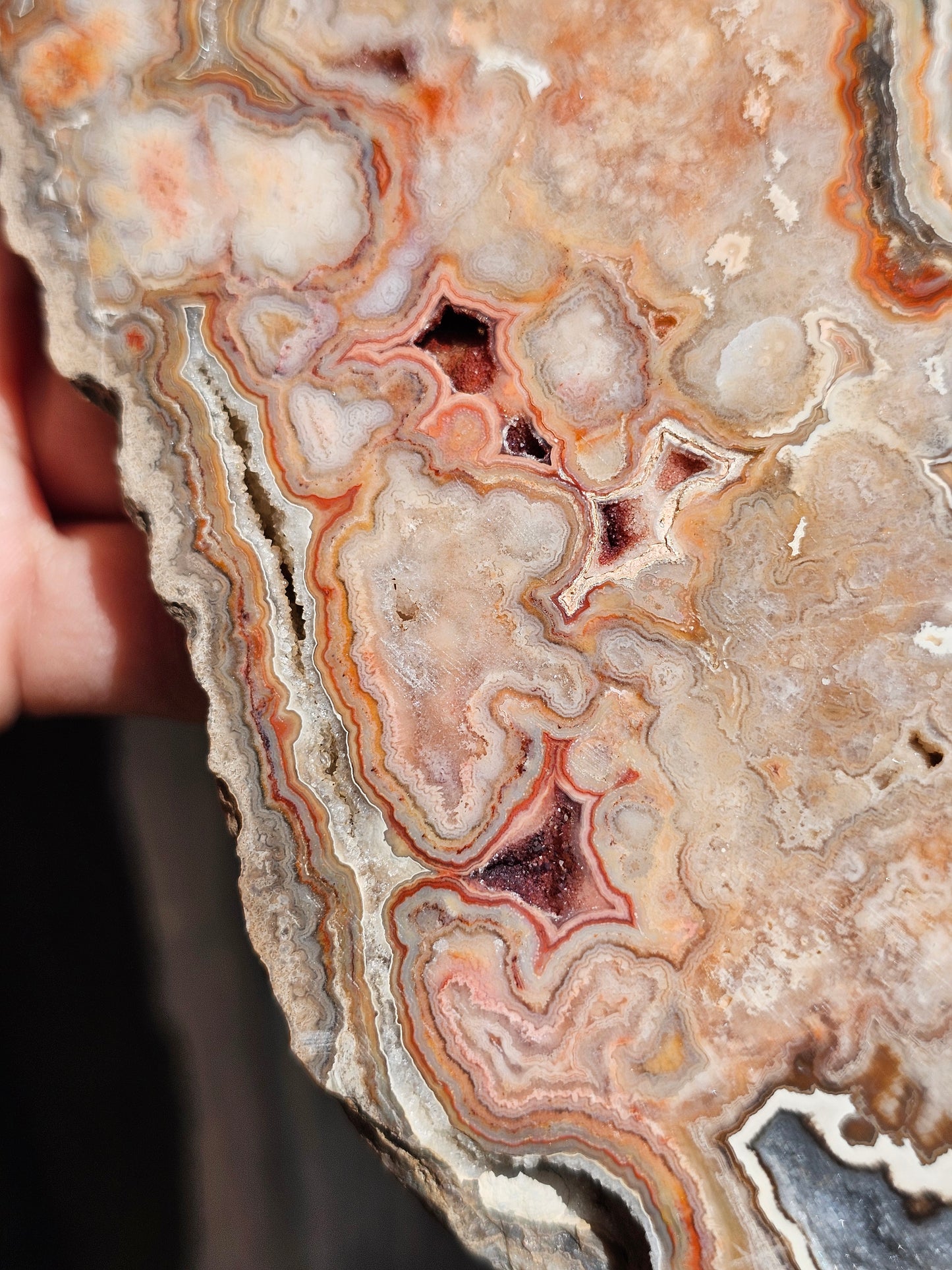 Grande tranche d'Agate Crazy Lace n°3