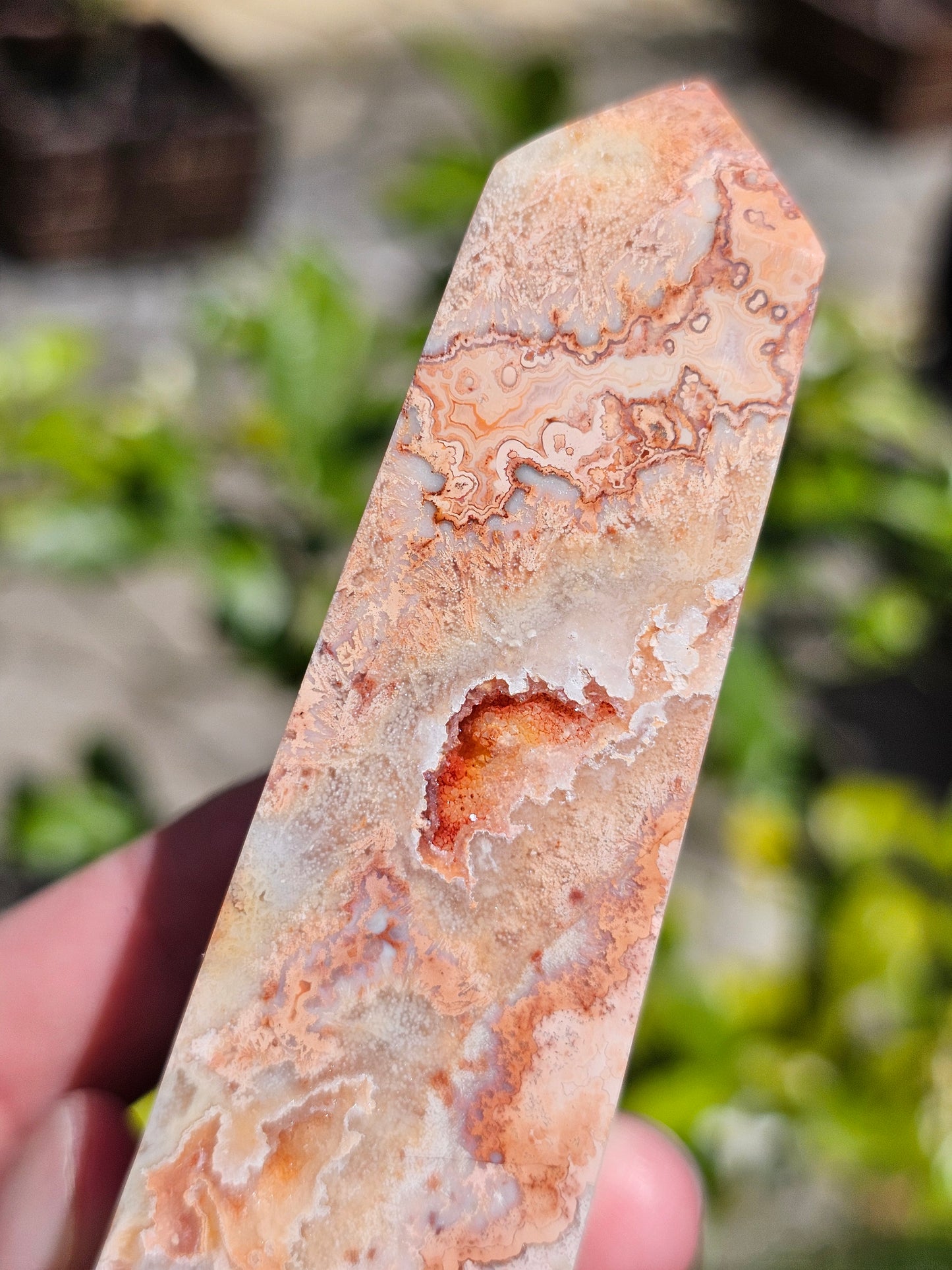 Pointe d'Agate Crazy Lace CL12