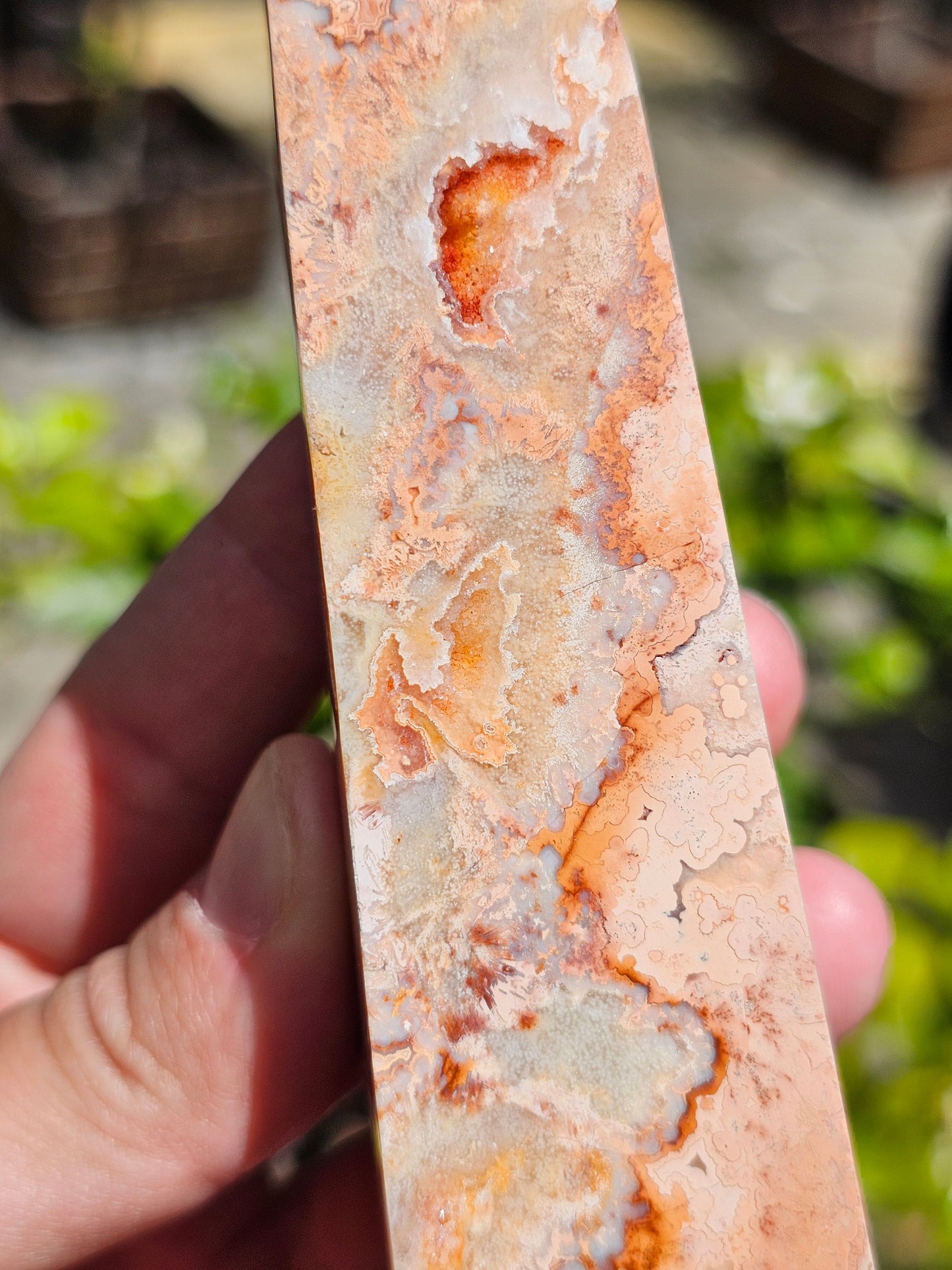 Pointe d'Agate Crazy Lace CL12