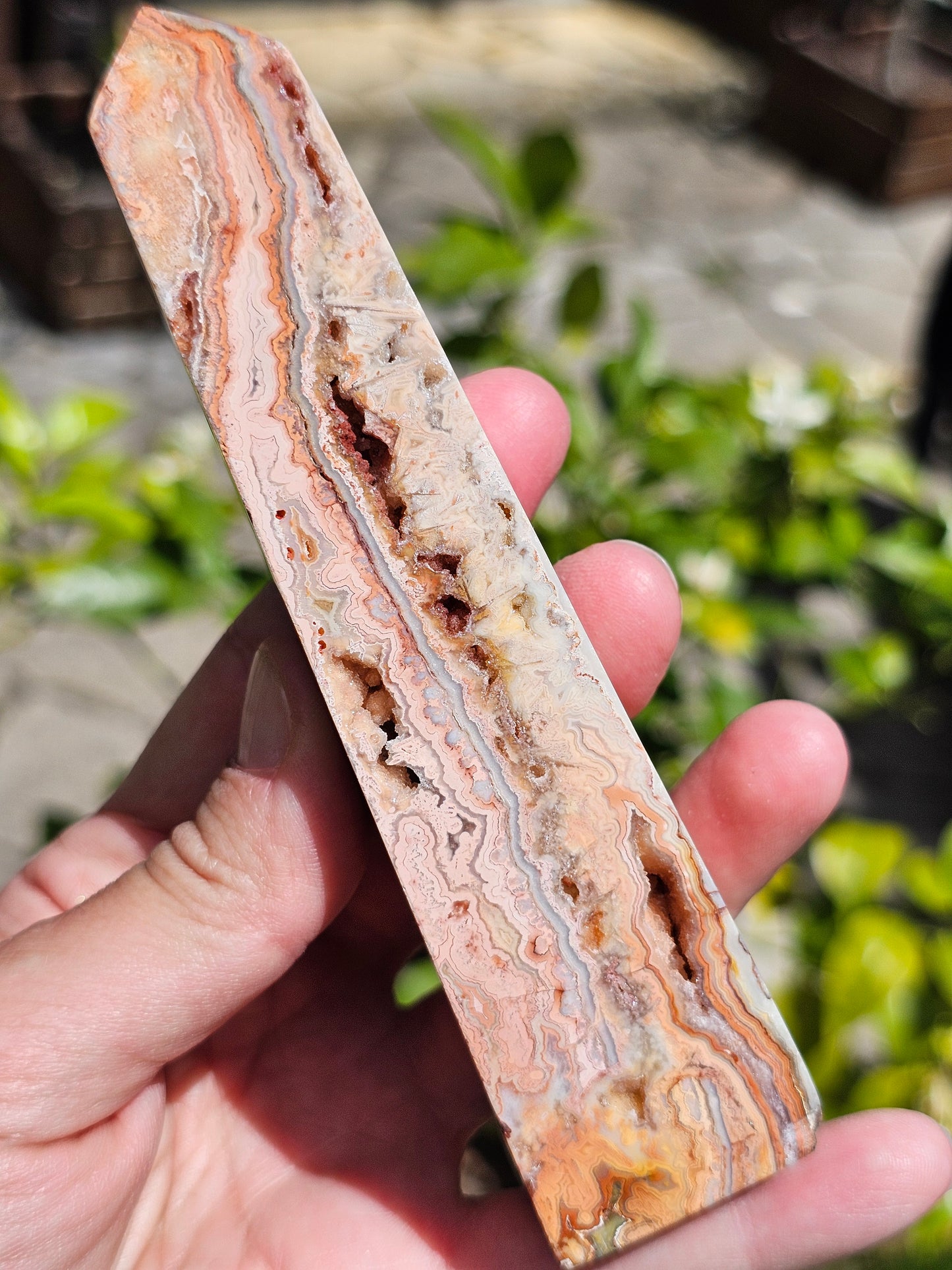 Pointe d'Agate Crazy Lace CL12
