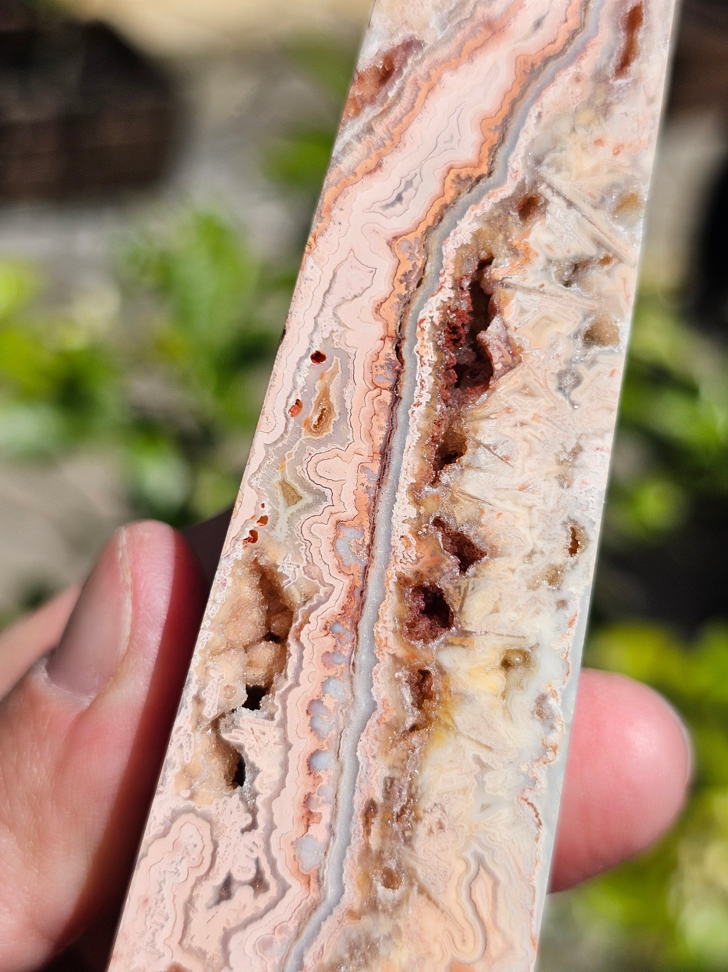 Pointe d'Agate Crazy Lace CL12