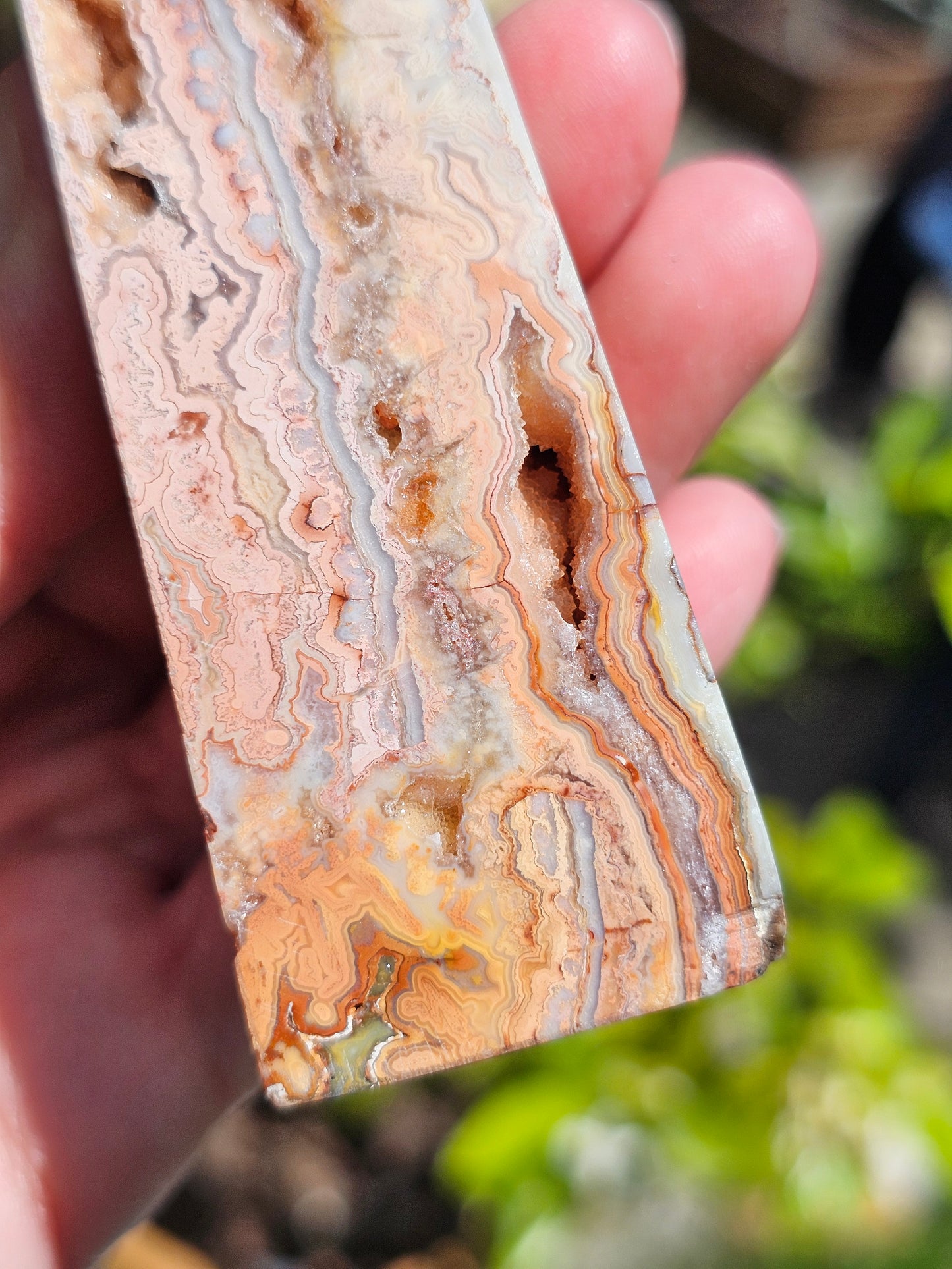 Pointe d'Agate Crazy Lace CL12