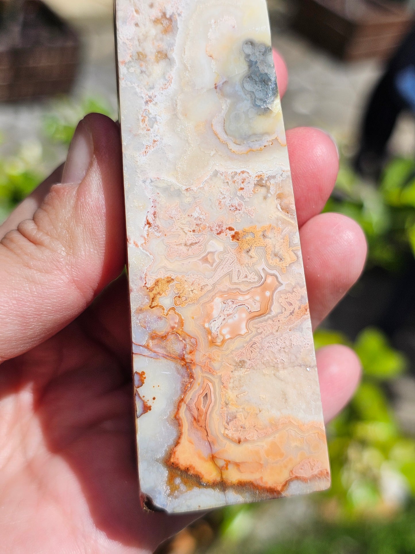Pointe d'Agate Crazy Lace CL12