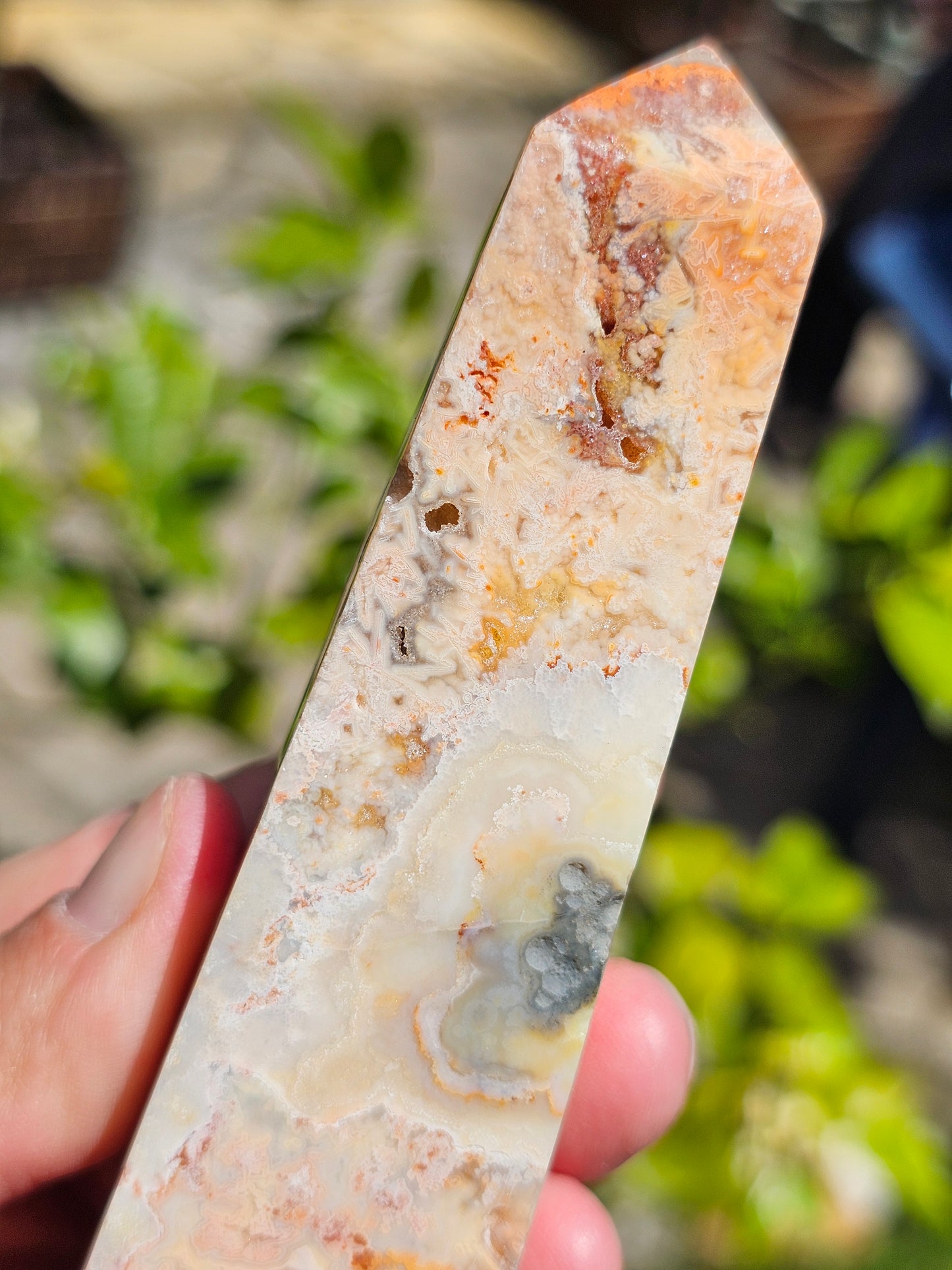Pointe d'Agate Crazy Lace CL12