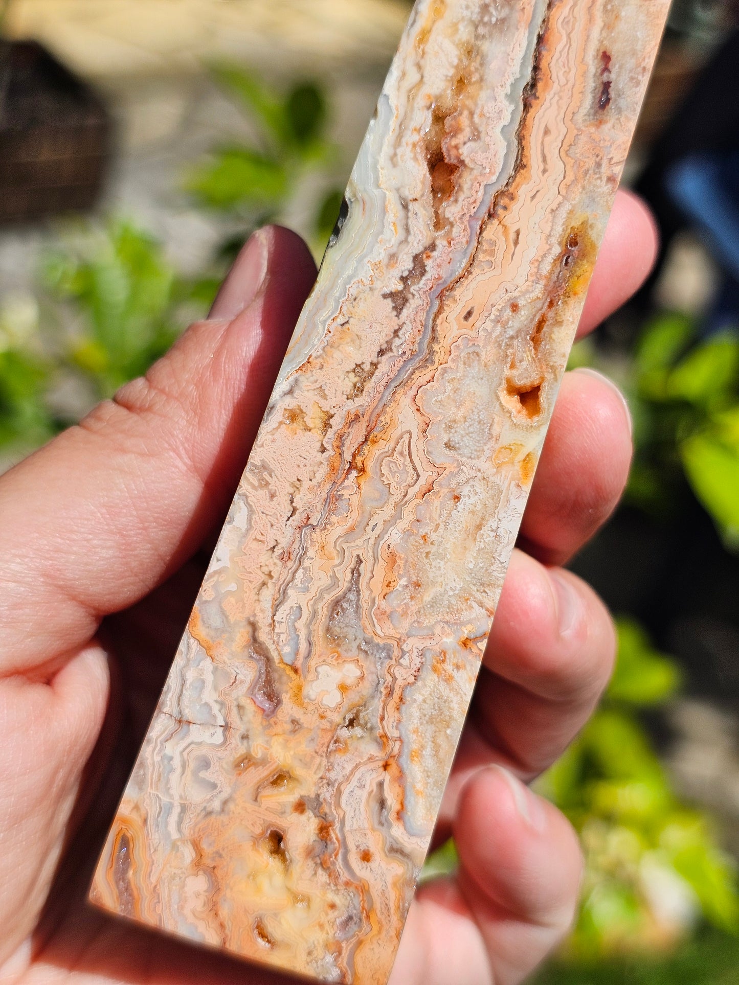 Pointe d'Agate Crazy Lace CL12