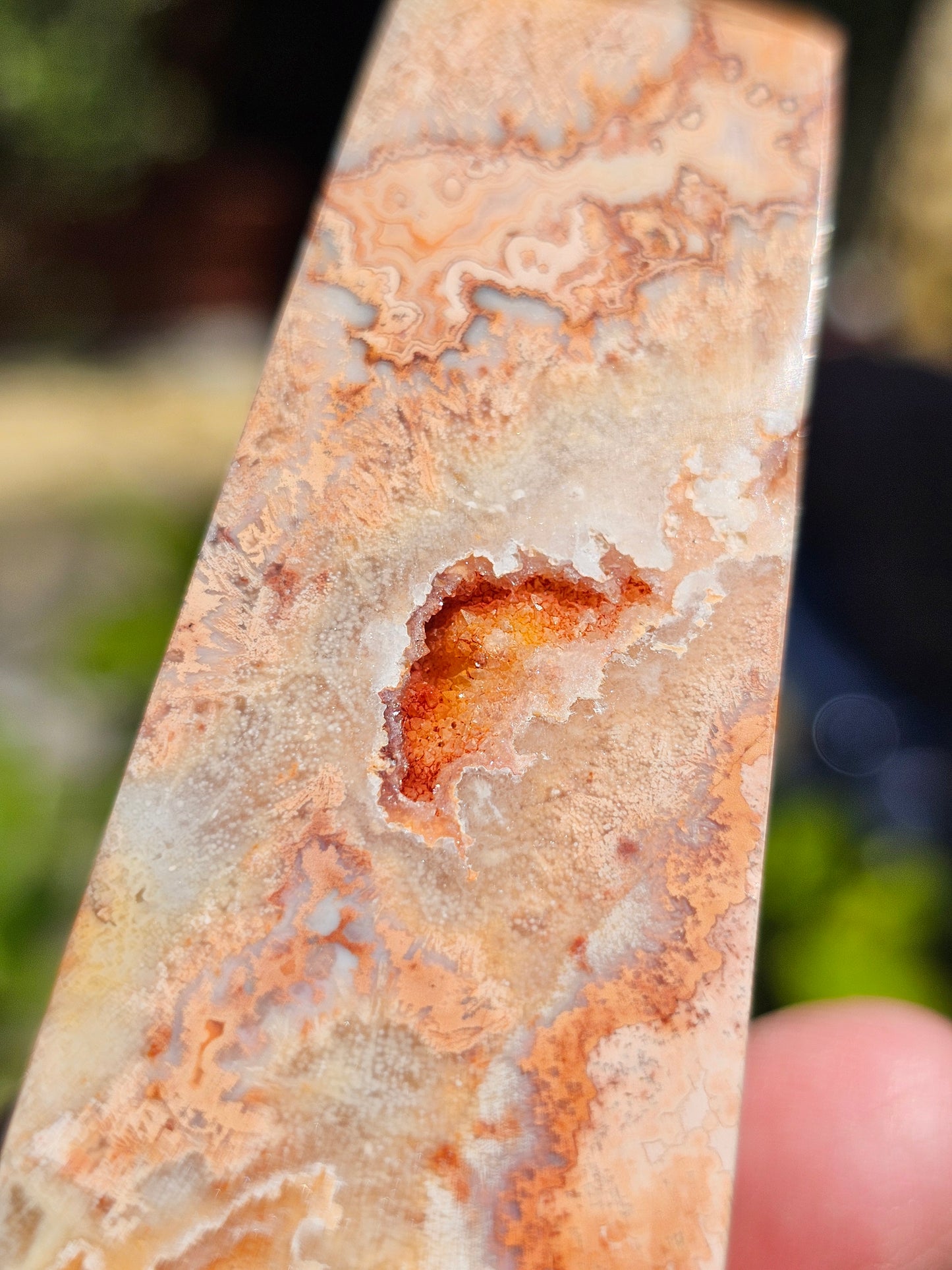 Pointe d'Agate Crazy Lace CL12