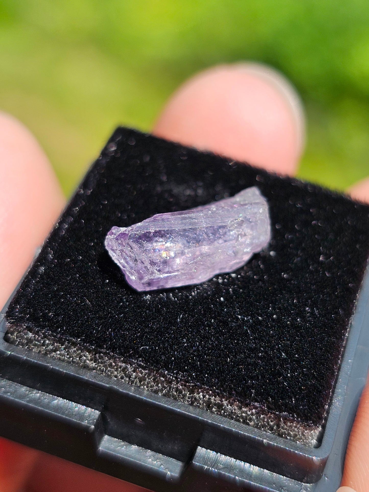 Scapolite violette brute C