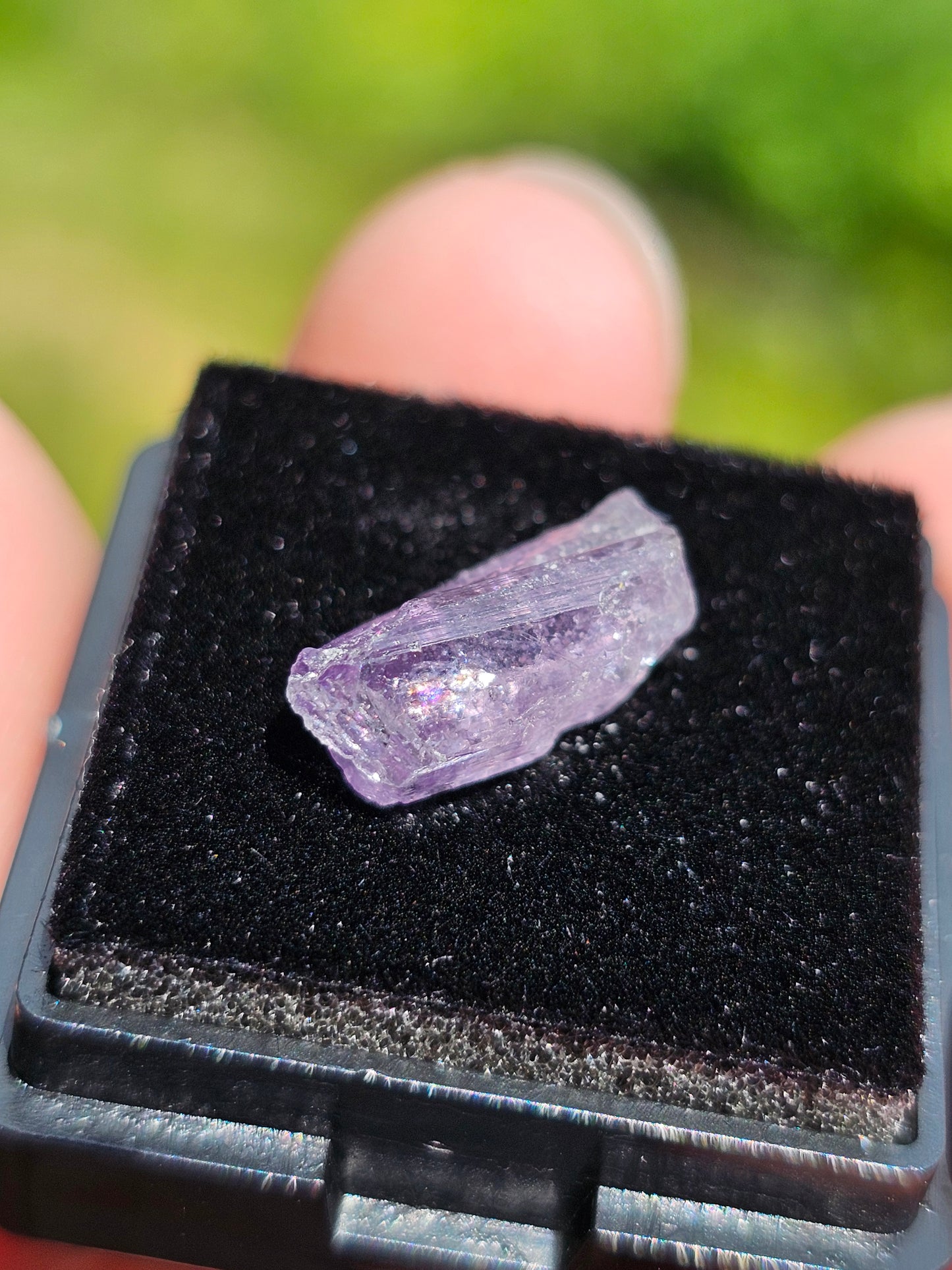 Scapolite violette brute C