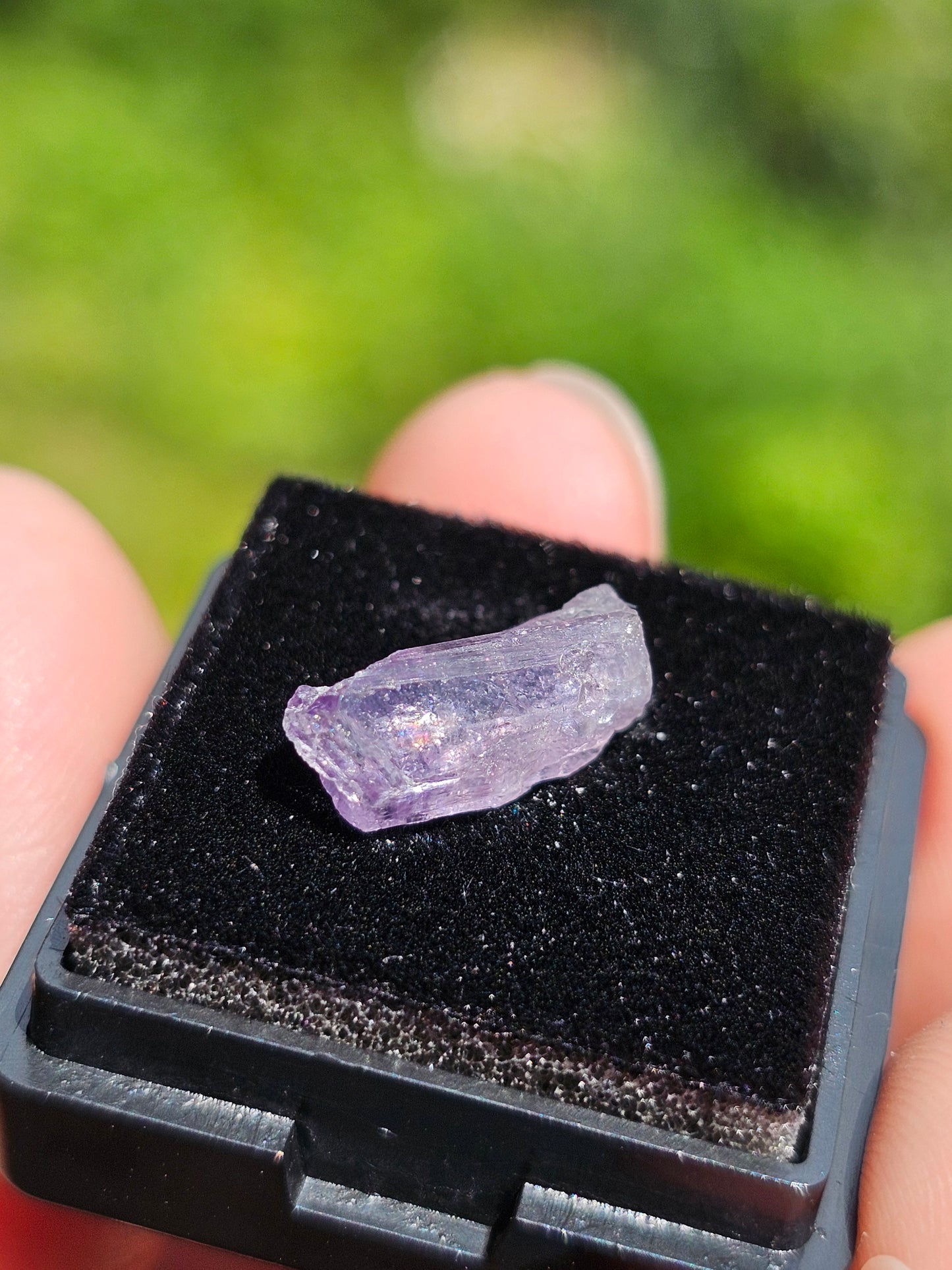 Scapolite violette brute C