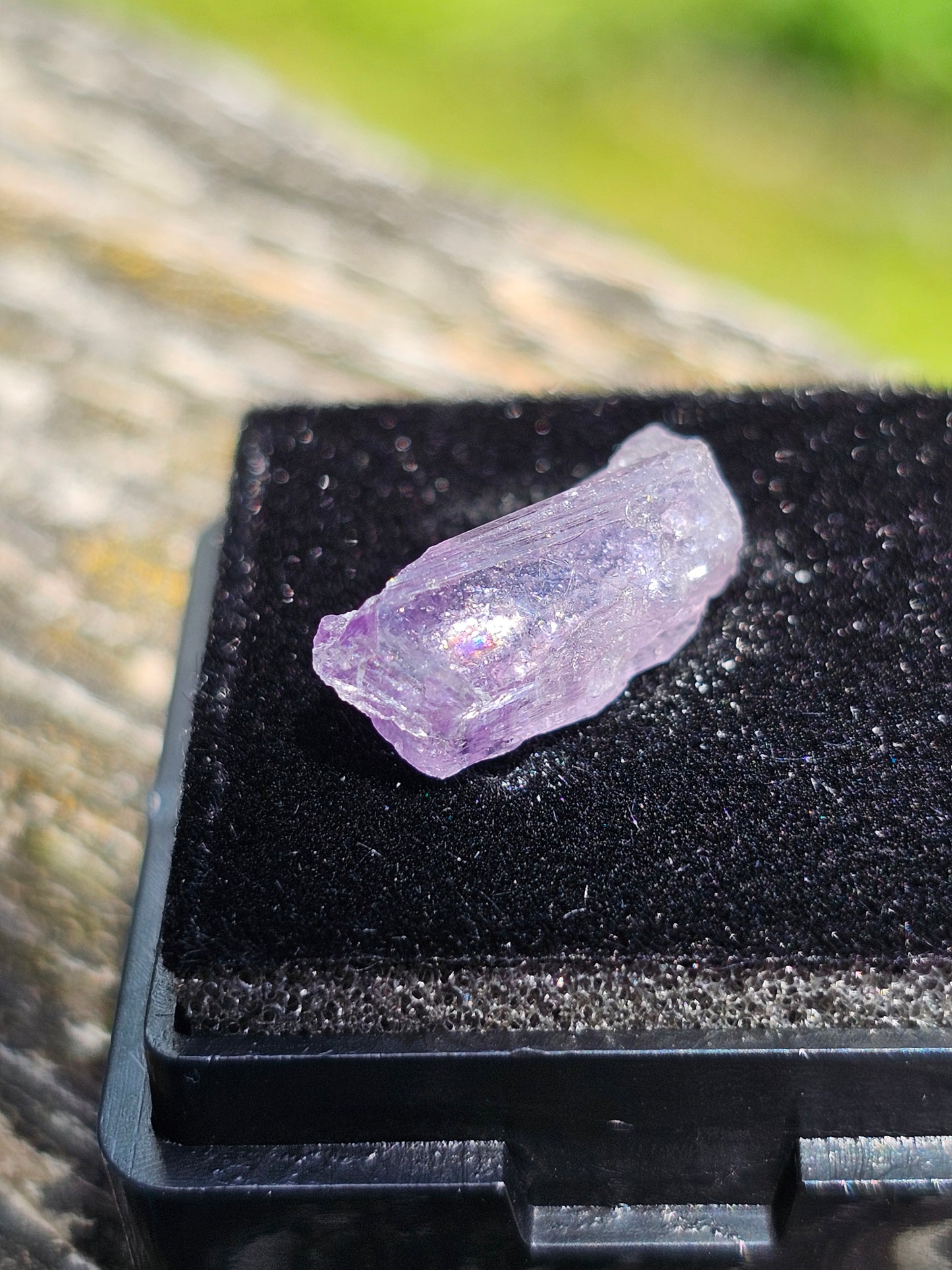 Scapolite violette brute C
