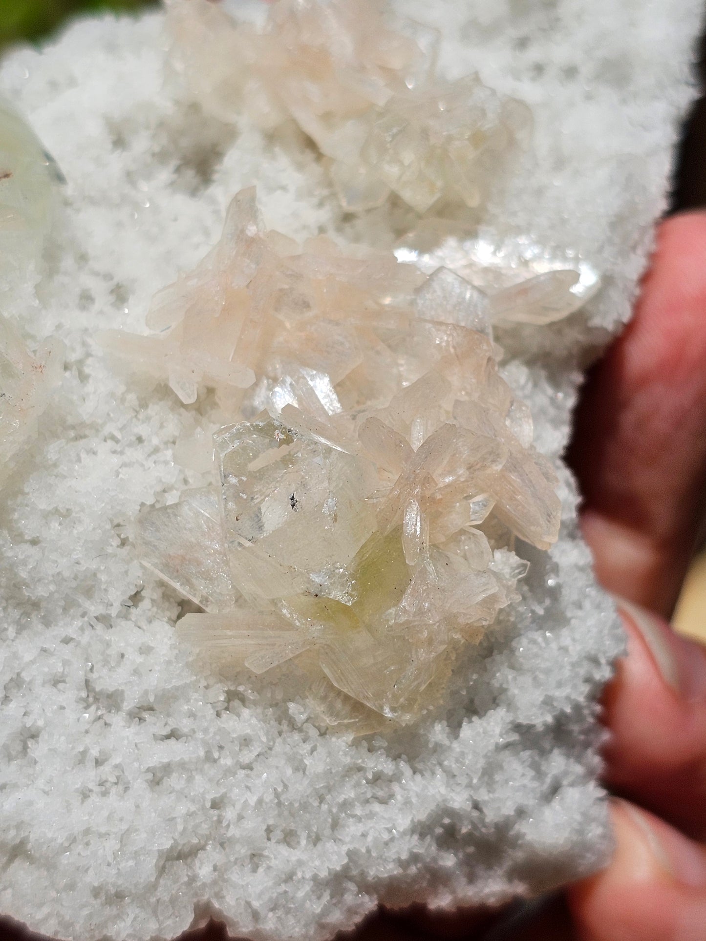Apophyllite, apophyllite verte, stilbite sur Calcédoine blanche A