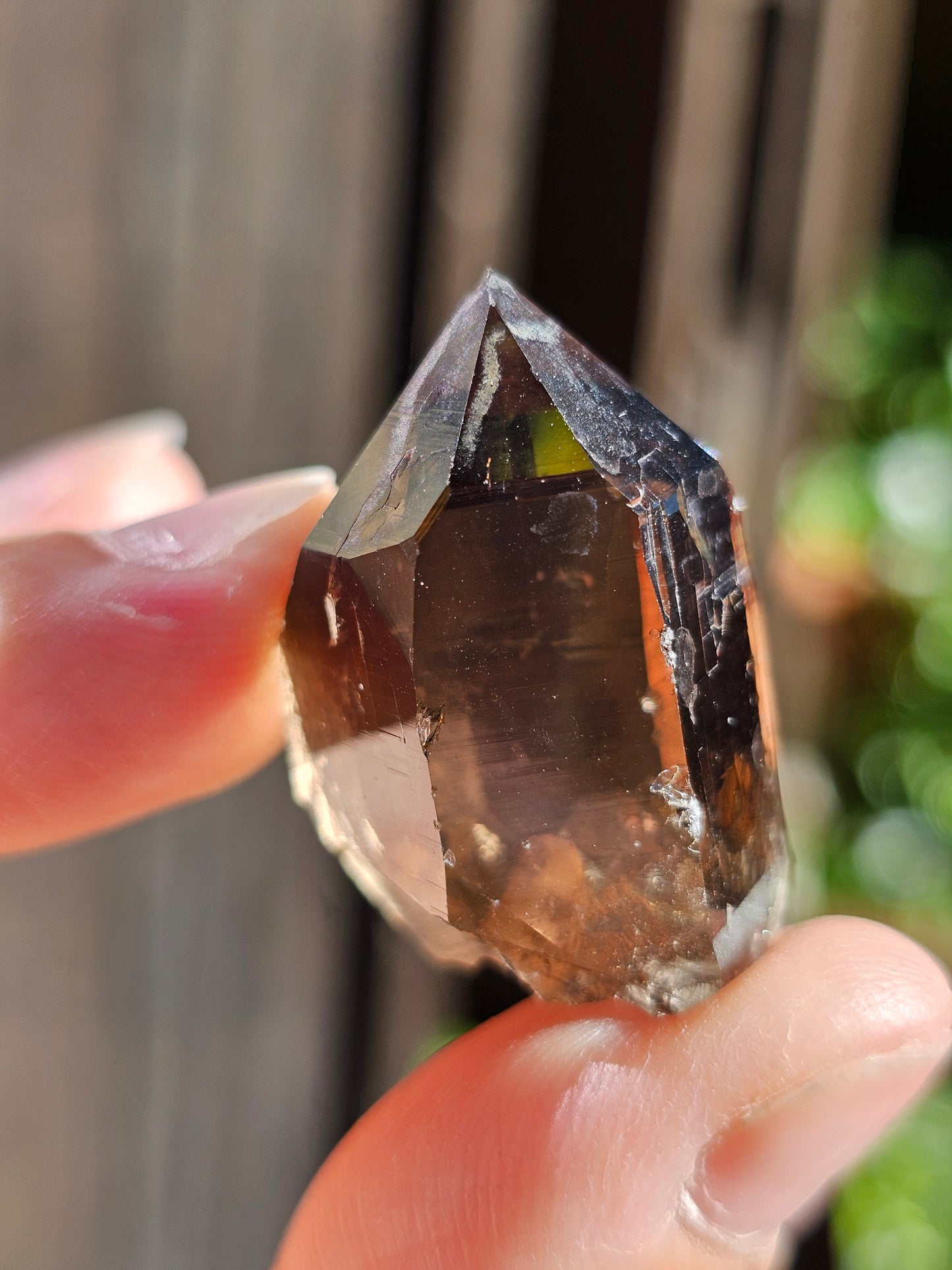 Quartz fumé du Mont-Blanc C
