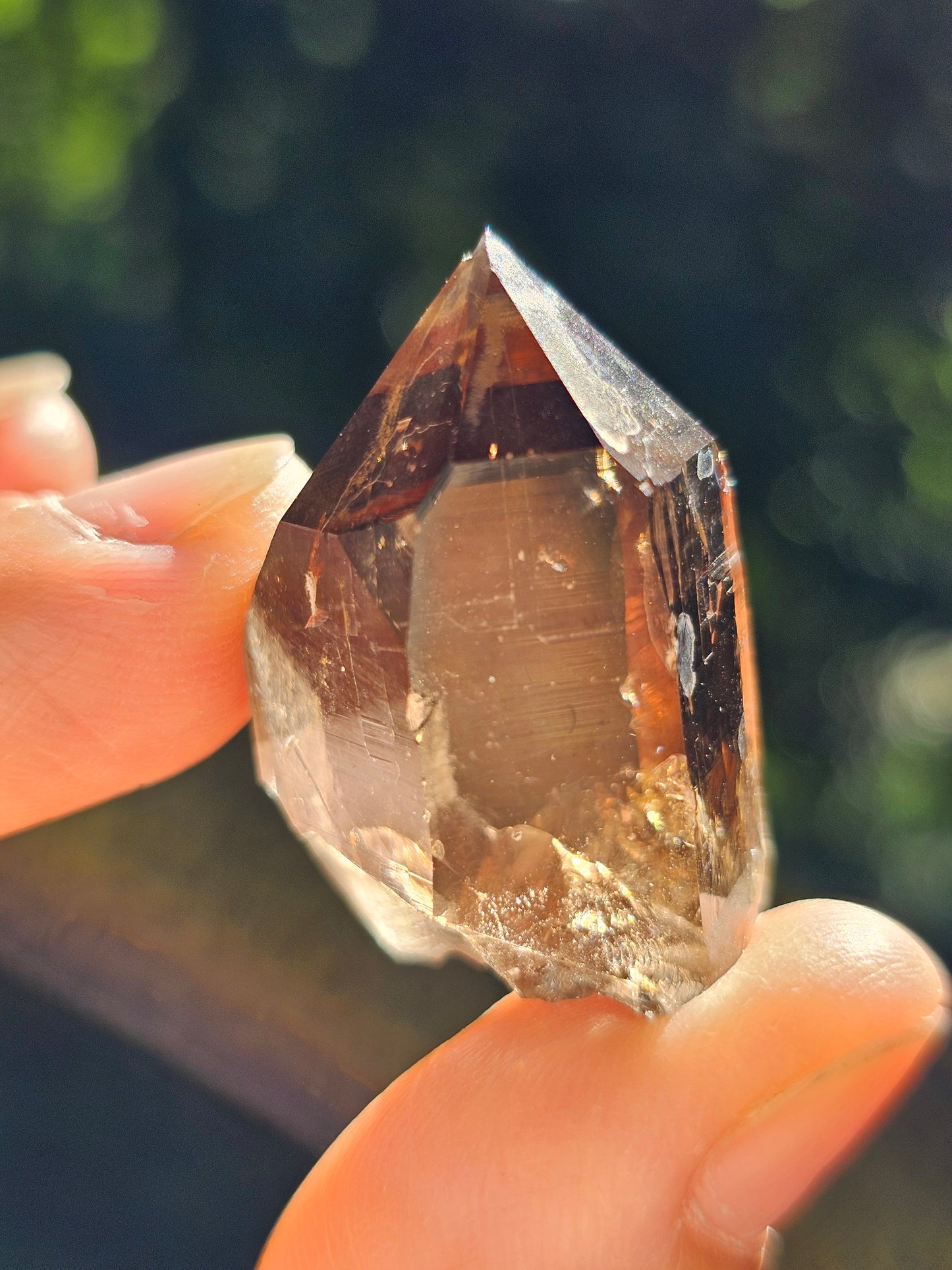 Quartz fumé du Mont-Blanc C