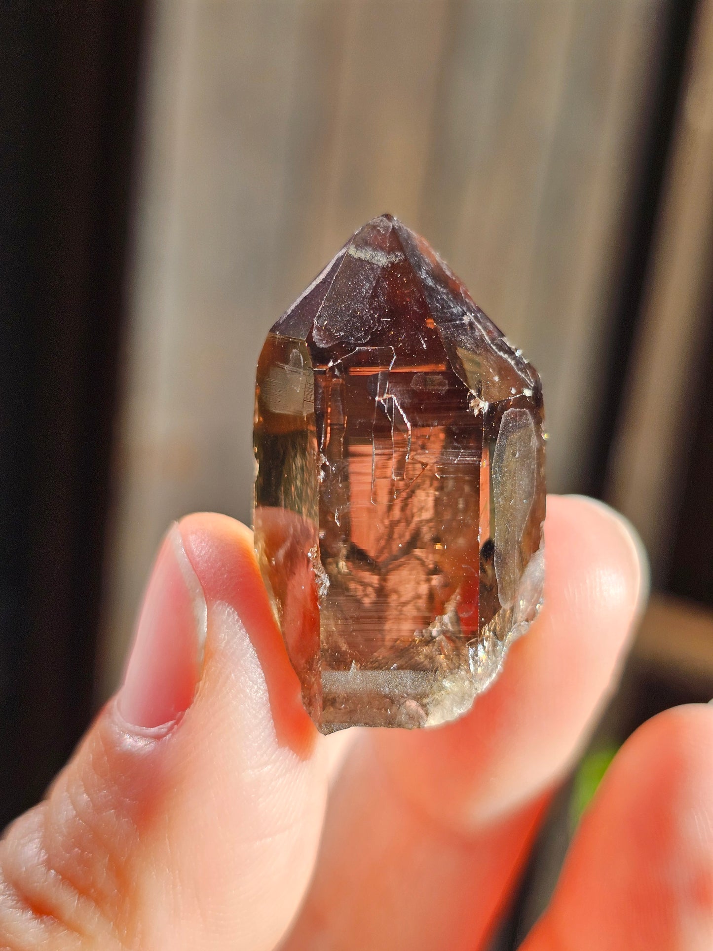 Quartz fumé du Mont-Blanc C