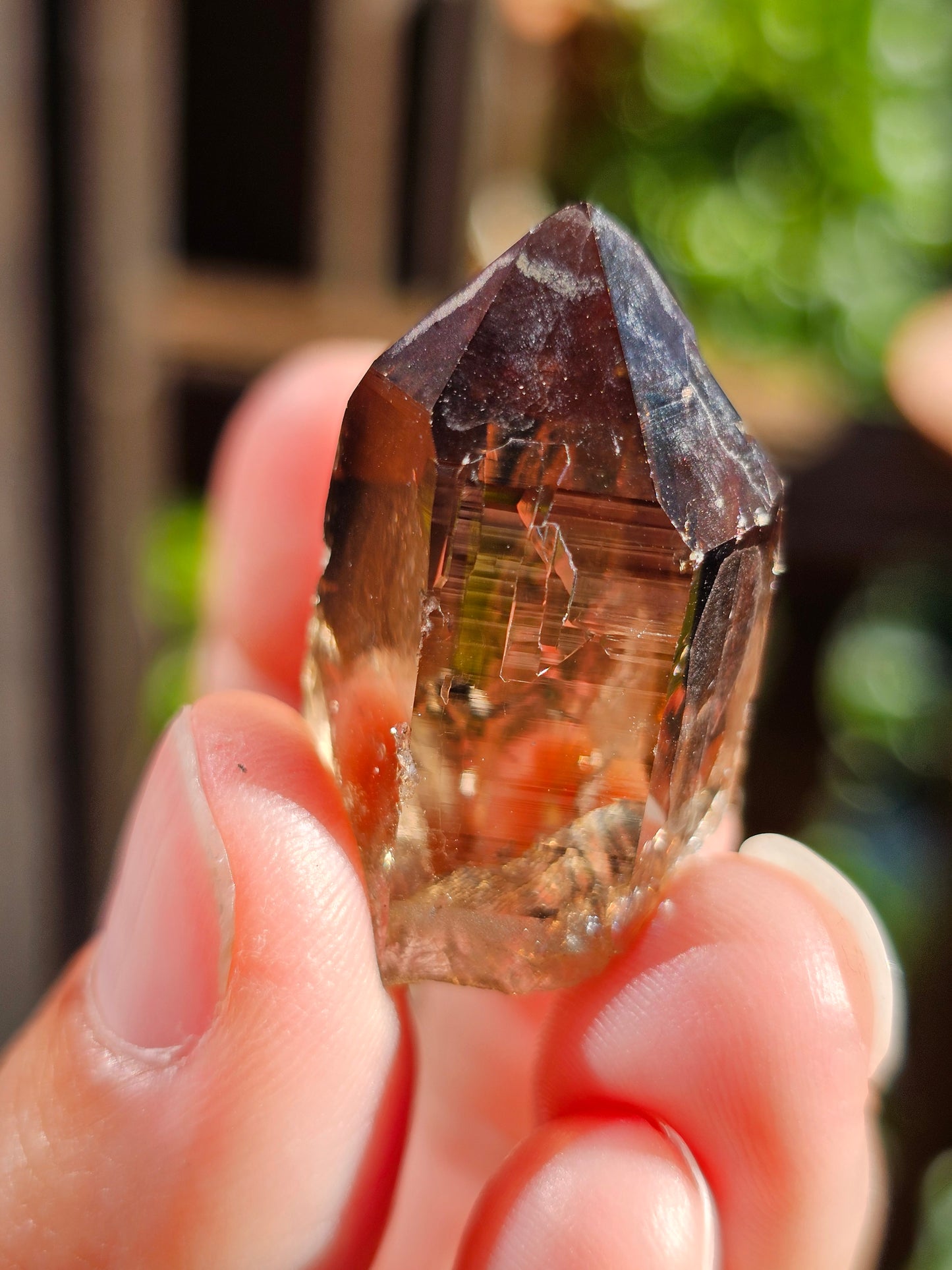 Quartz fumé du Mont-Blanc C