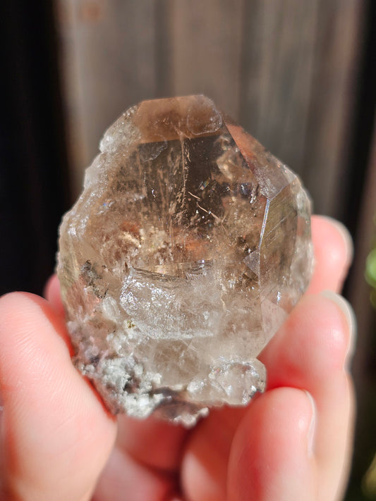 Quartz fumé du Mont-Blanc N