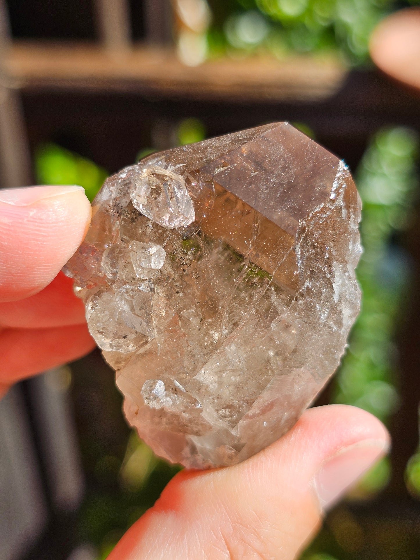 Quartz fumé du Mont-Blanc N