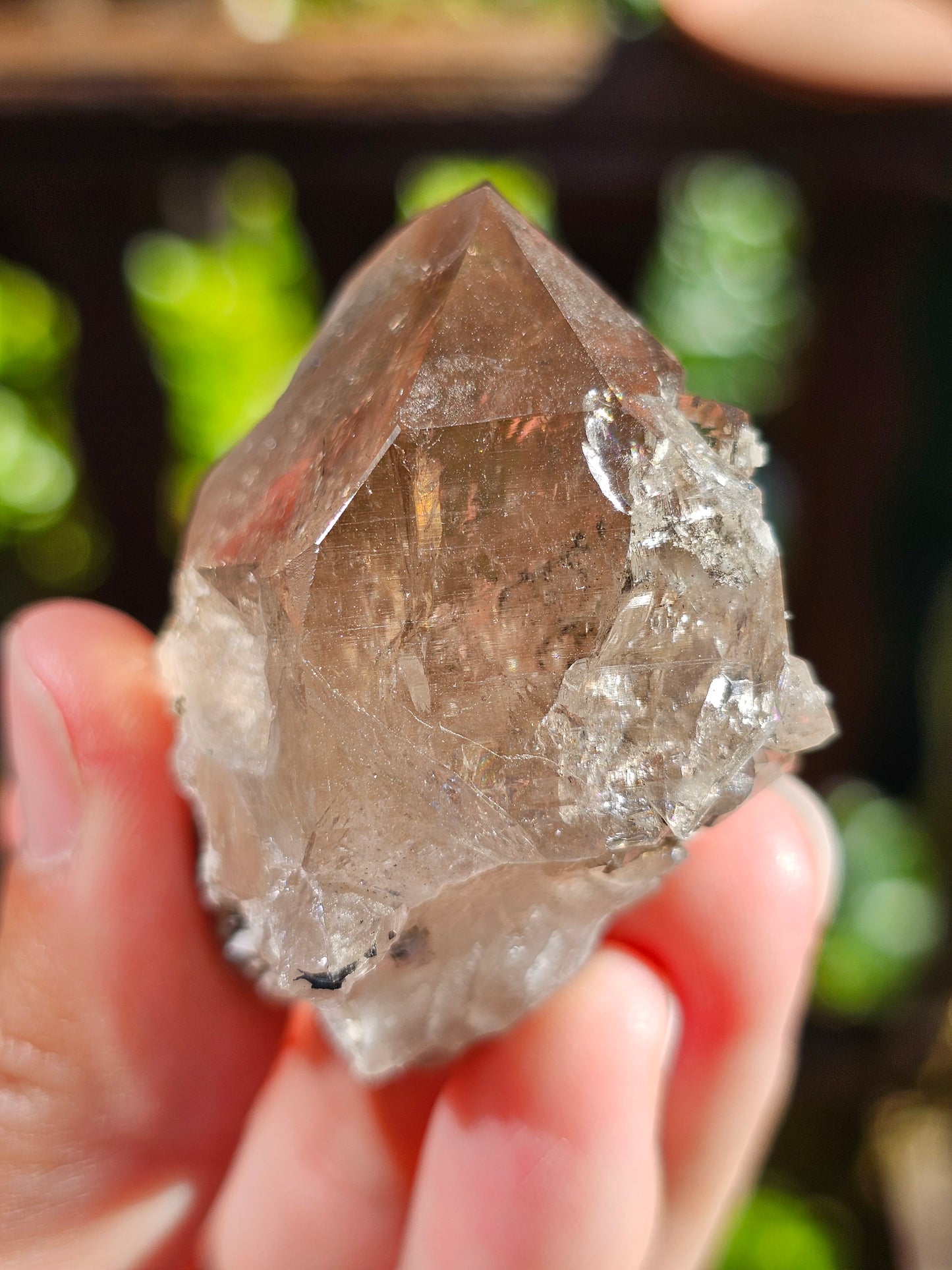 Quartz fumé du Mont-Blanc N