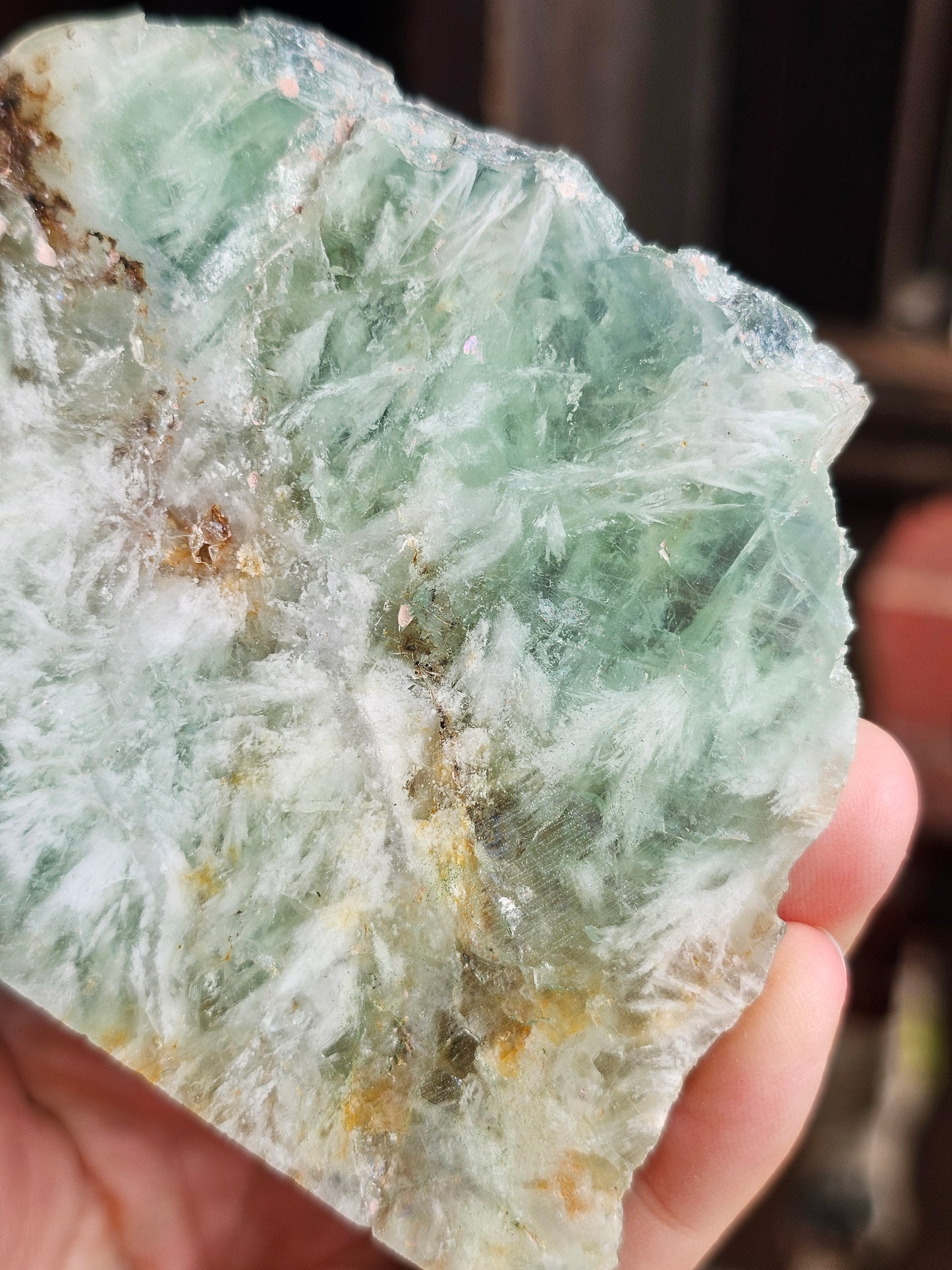 Tranche de Fluorite snowflake (ou feather) F4