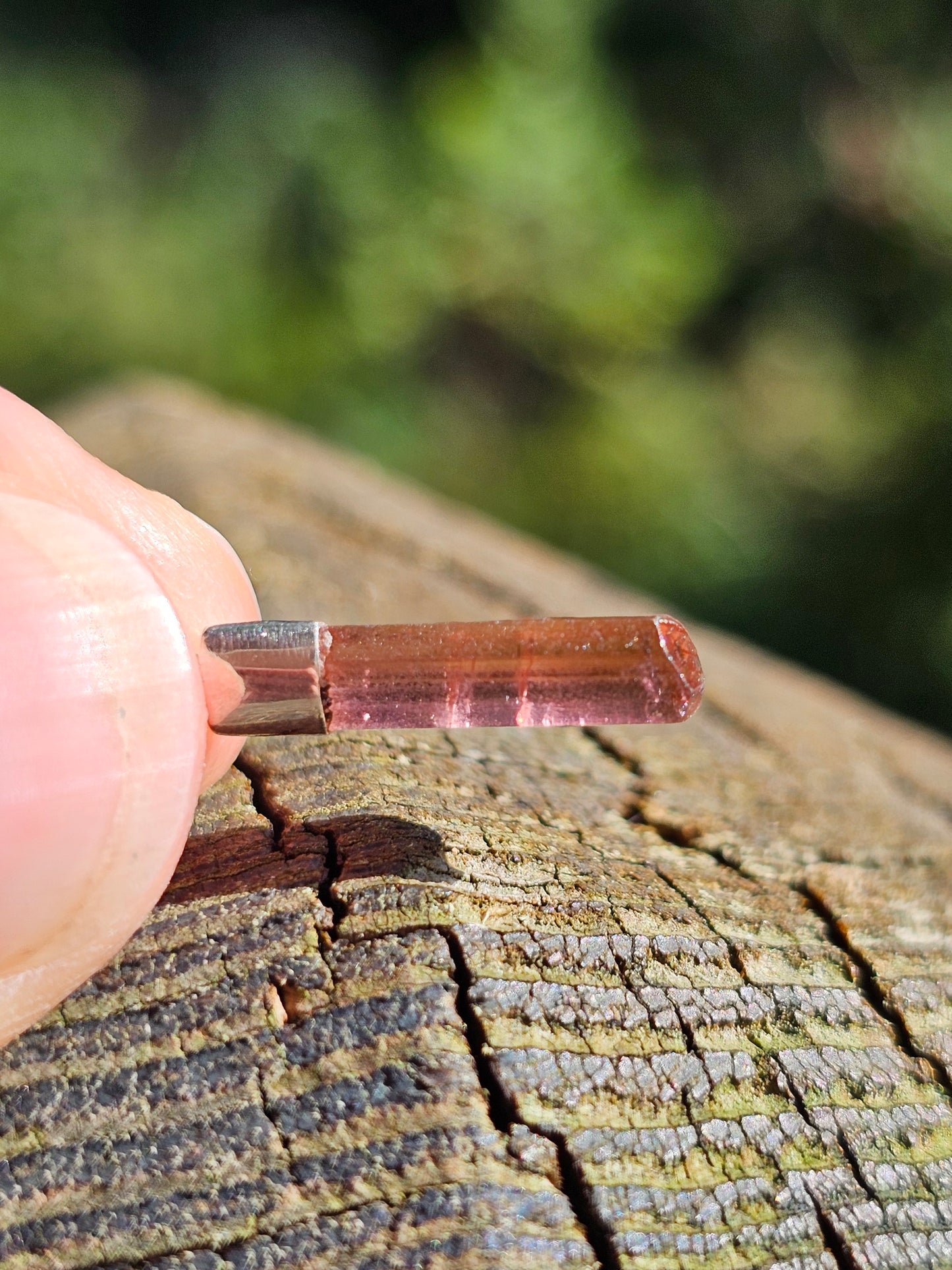 Pendentif en Tourmaline multicolore n°8