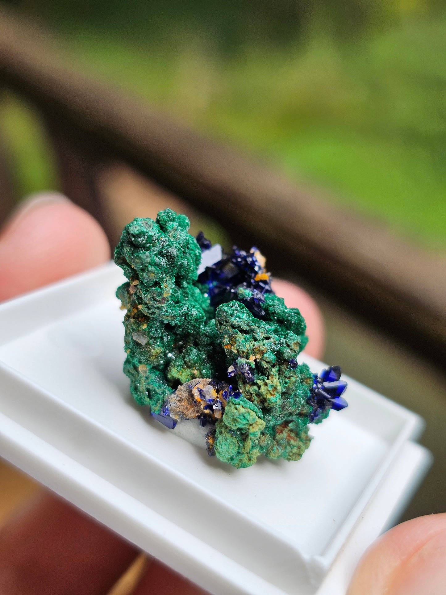Azurite et Malachite du Maroc n°1