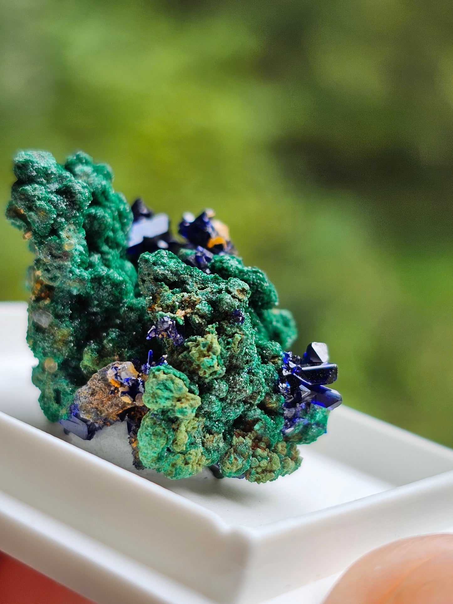 Azurite et Malachite du Maroc n°1